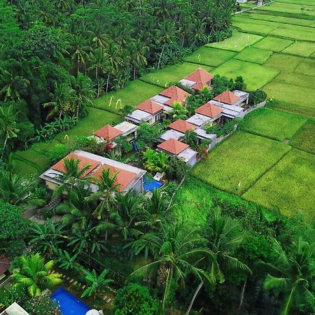 Asri Sari Ubud Villa & Resort Zewnętrze zdjęcie
